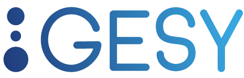 logo-gesy will ip lyon